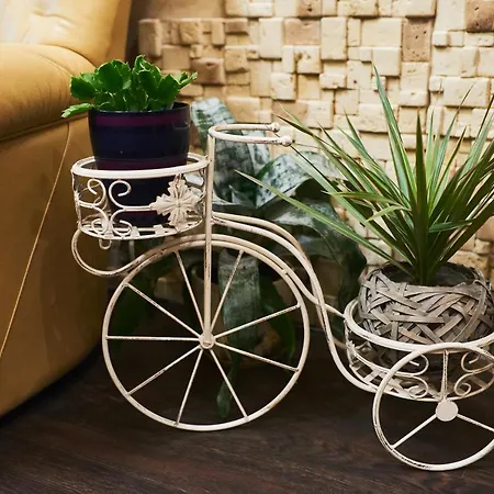 Apartman Alpremira *